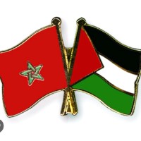 Zakariae Essamed