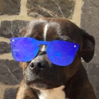 Frédéric Vanderbeke