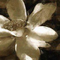 Chen David