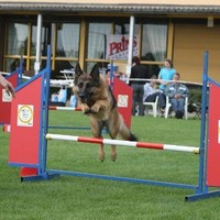 gerda de wolf