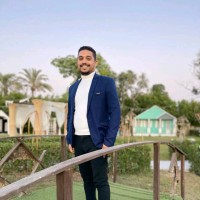 Amr Emad Hamdy