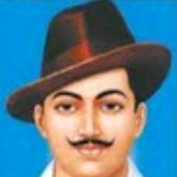 Sanju Sain