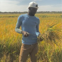 Cheikh Ahmed Tidiane DIONE