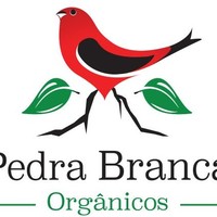 Fernanda Pontual Fracalanza