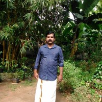 Sai Edapully