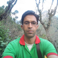 Hari Singh