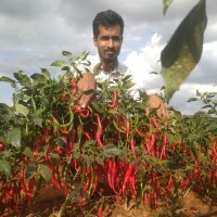Vinod Biradar