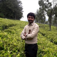 Shashidara M