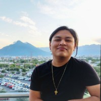 Mario Alberto Cárdenas Guerreo