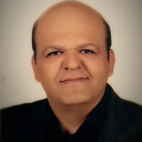 mehran fallah