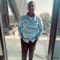 Alaa A. Saif
