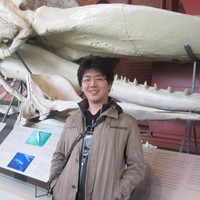 Toru Tanaka
