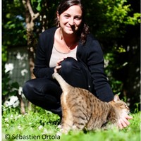 Charlotte de Mouzon, PhD