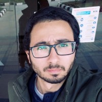 Mohyie El Din Ali