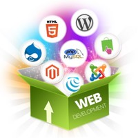Web Development Company