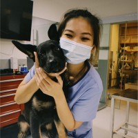 Elizabeth Pang