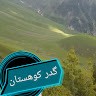 Zaib Hayat