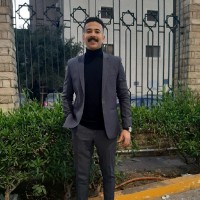 Mohamed Gamal