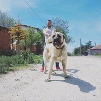 Kerim Atar