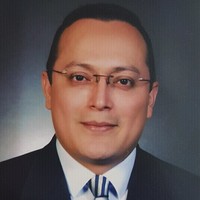 Mario Ernesto Rodriguez Molina
