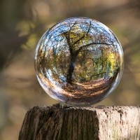 Natures Blessings