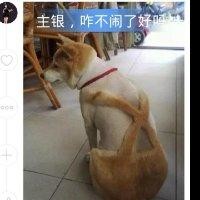 谢红星