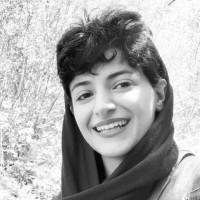 Elaheh Shakeri