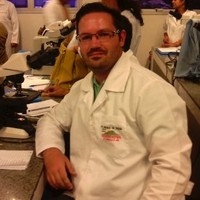 Rodrigo Maciel Hamer