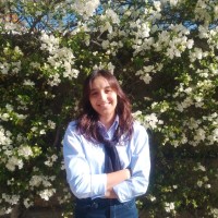 NOHA El MEJJARMI