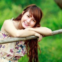 Phương Anh Phi