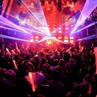 Bangalore Events Party Animal