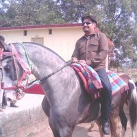 Sharad Dwivedi