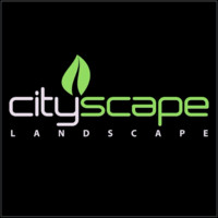 CITYSCAPE LANDSCAPE