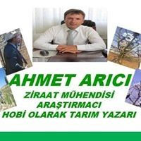 Ahmet Arici