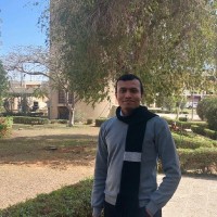 Youssef Gamal