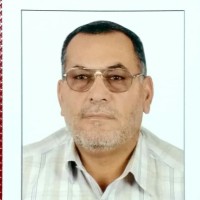 محمد جمال الغزالي