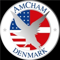 Amcham Leadership Mentoring Program Page