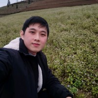 Andy Pham