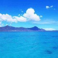 郑付良