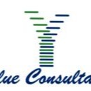 Value Consultants Add Value