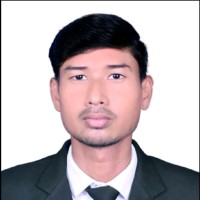 Bipin Ray