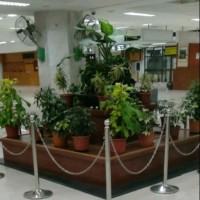 Rajamanikam Rajapandiyan