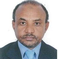 Fathelrahman Elhindi
