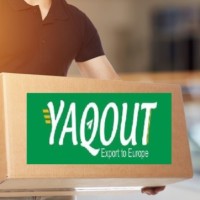 Yaqout Yaqout
