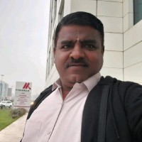 Raman S P