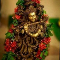 srikanth b
