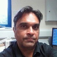 Sam Sardi