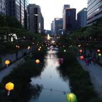 野辺陽子