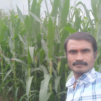 Sudhir Hundekar