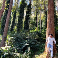 Pavan Kumar Garlapati